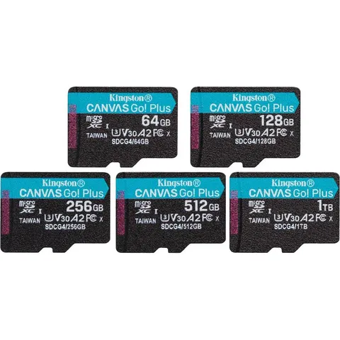 Kingston Canvas Go! Plus microSD (SDCG4)